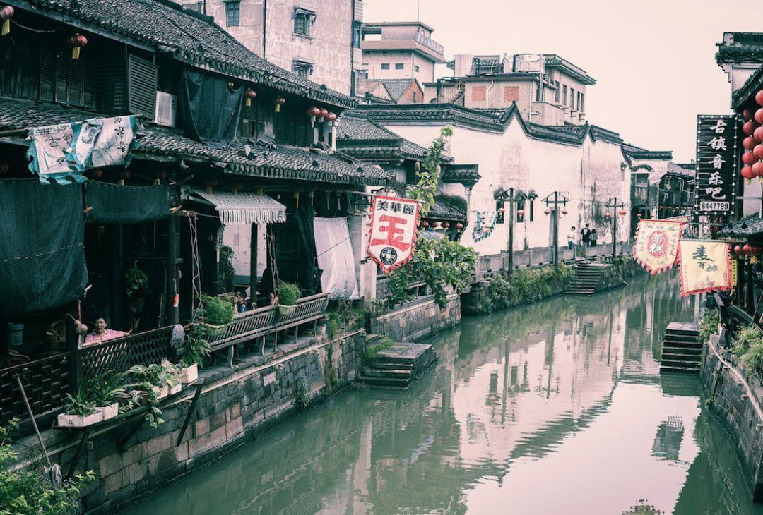 两会好声音丨蒋珍凤:规范统一品种 推动湘米出湘